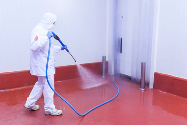 Best Graffiti Removal  in Babson Park, FL