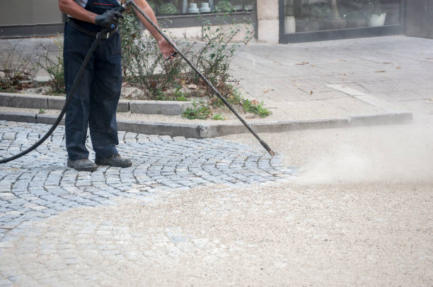 Best Restaurant Pressure Washing  in Babson Park, FL